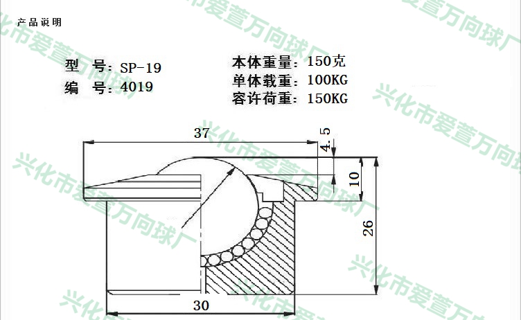 SP-19