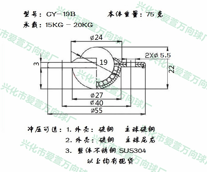 CY-19B