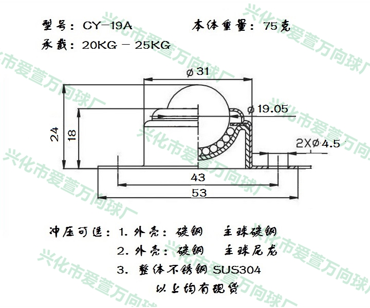 CY-19A